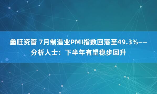 鑫旺资管 7月制造业PMI指数回落至49.3%——分析人士：下半年有望稳步回升